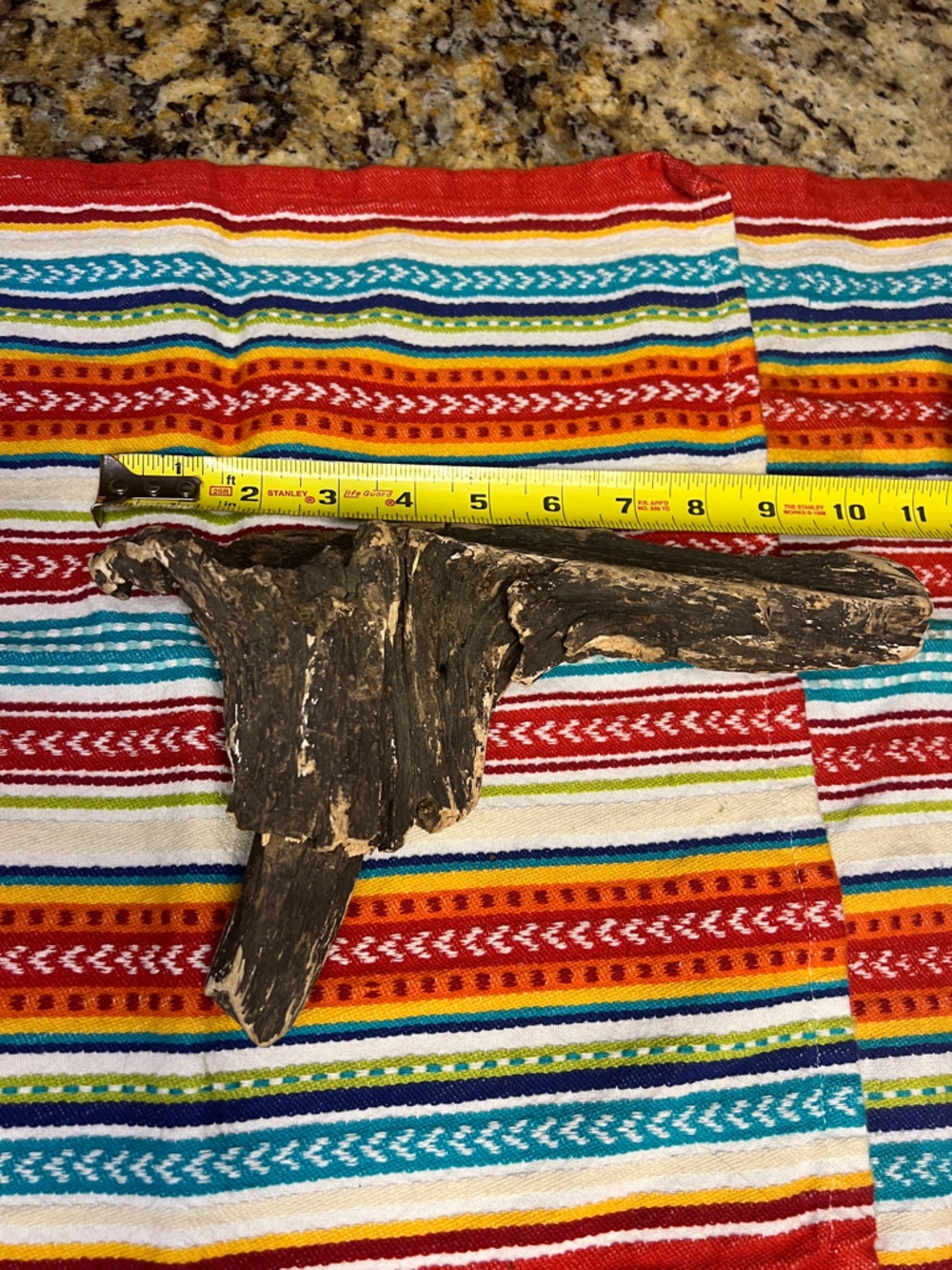 Natural Driftwood Aquarium & Terrarium Decor - Brown found on the James River